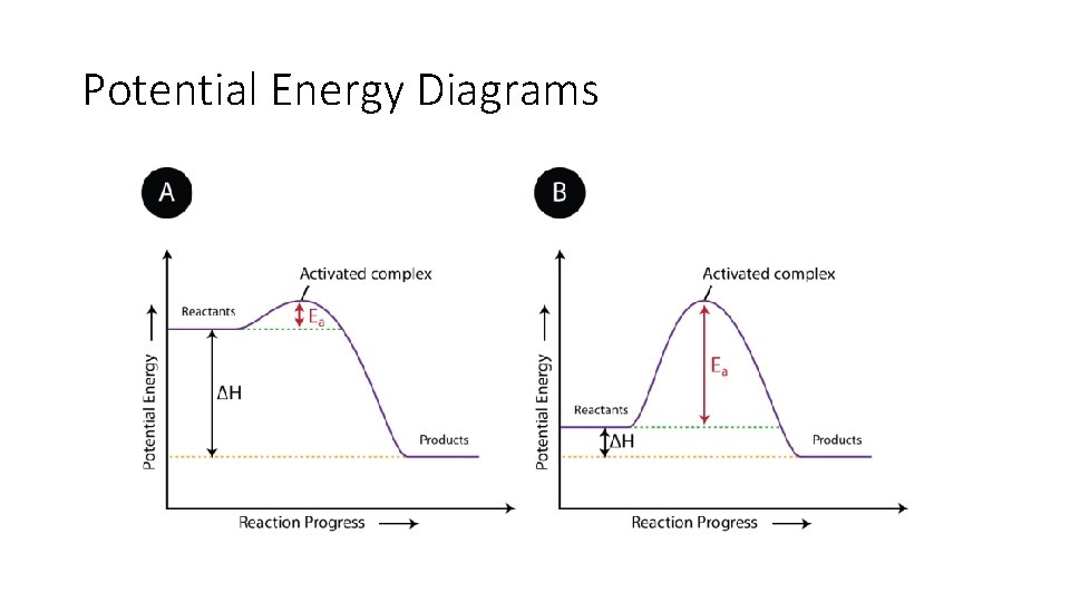 Potential Energy Diagrams 