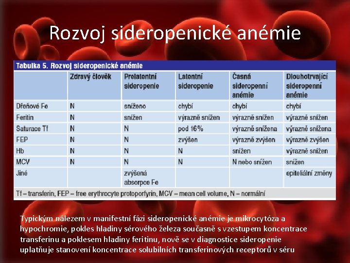 Rozvoj sideropenické anémie Typickým nálezem v manifestní fázi sideropenické anémie je mikrocytóza a hypochromie,