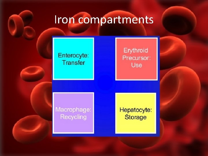 Iron compartments 