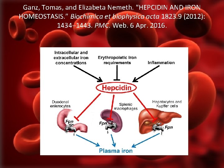 Ganz, Tomas, and Elizabeta Nemeth. “HEPCIDIN AND IRON HOMEOSTASIS. ” Biochimica et biophysica acta