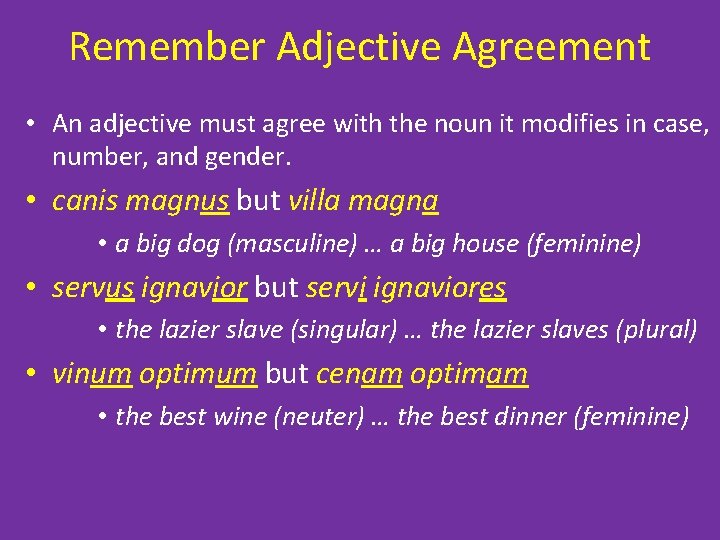 Remember Adjective Agreement • An adjective must agree with the noun it modifies in