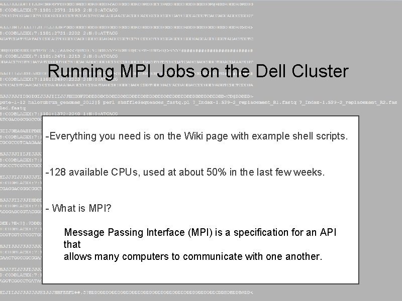 Running MPI Jobs on the Dell Cluster -Everything you need is on the Wiki