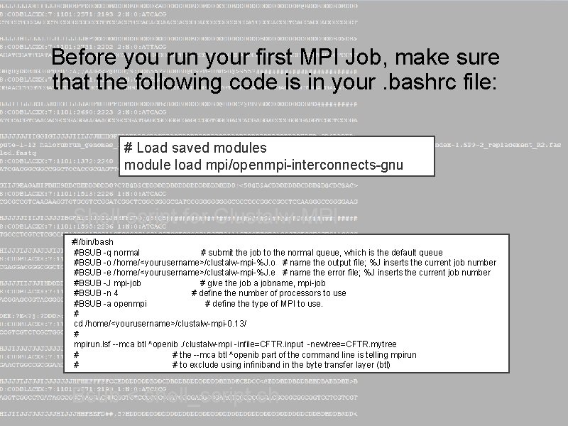 Before you run your first MPI Job, make sure that the following code is