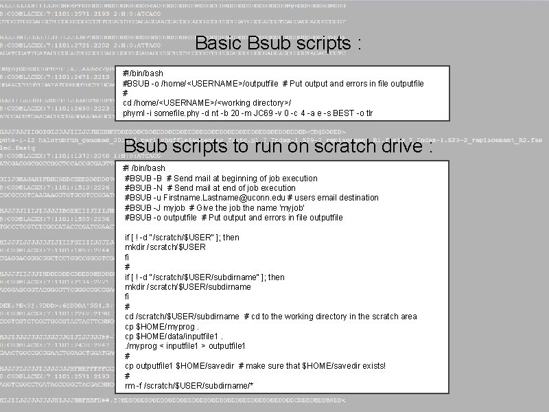 Basic Bsub scripts : #!/bin/bash #BSUB -o /home/<USERNAME>/outputfile # Put output and errors in