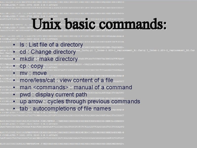 Unix basic commands: • • • ls : List file of a directory cd