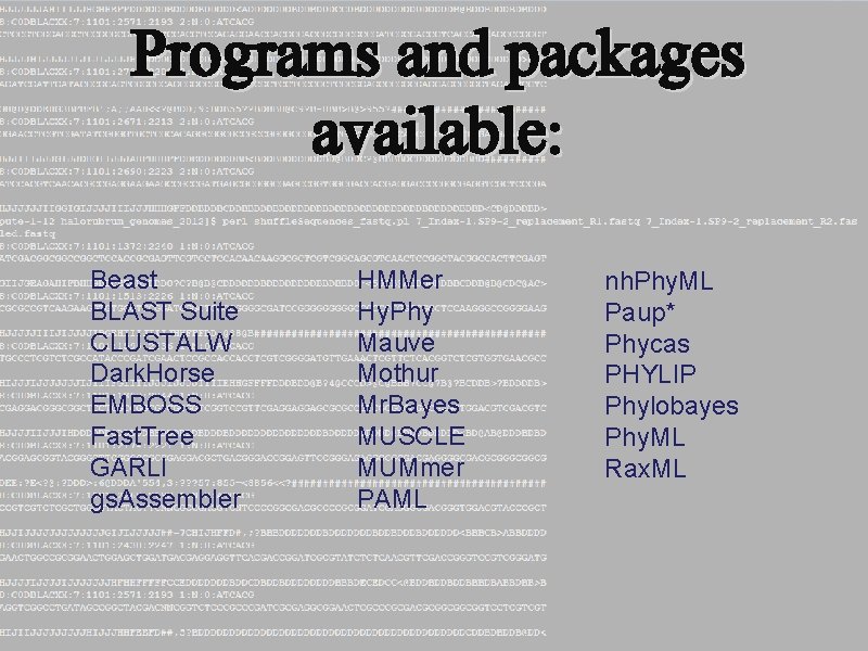 Programs and packages available: Beast BLAST Suite CLUSTALW Dark. Horse EMBOSS Fast. Tree GARLI