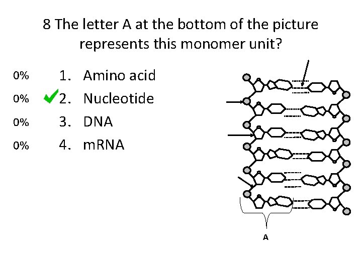 8 The letter A at the bottom of the picture represents this monomer unit?
