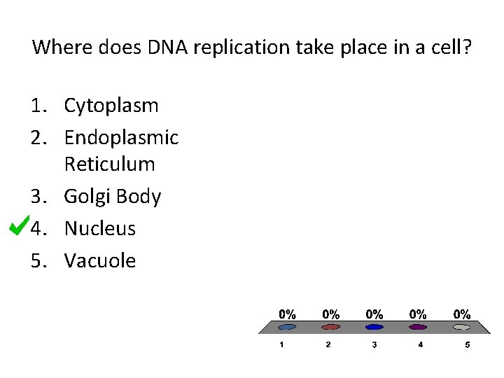 Where does DNA replication take place in a cell? 1. Cytoplasm 2. Endoplasmic Reticulum