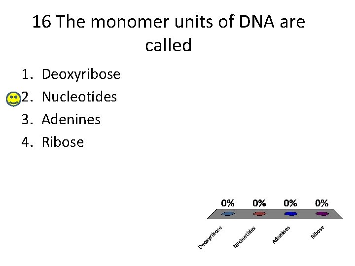16 The monomer units of DNA are called 1. 2. 3. 4. Deoxyribose Nucleotides