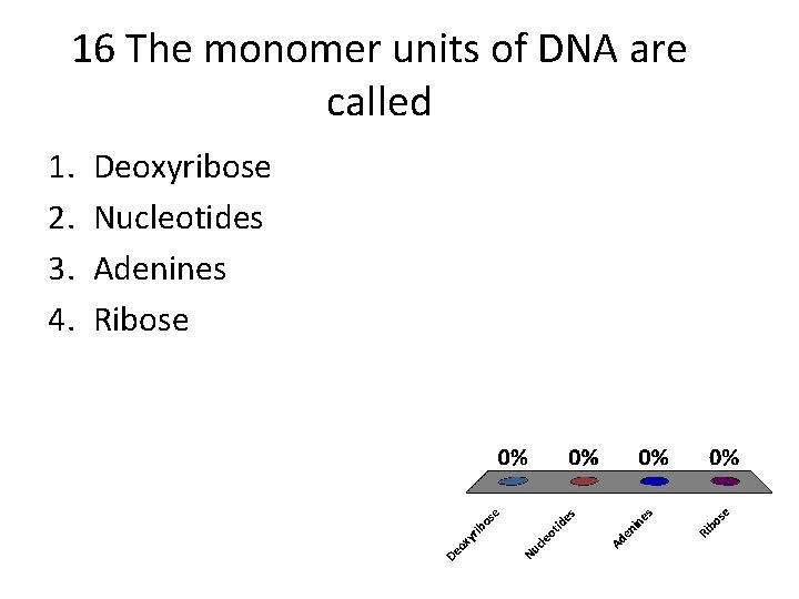 16 The monomer units of DNA are called 1. 2. 3. 4. Deoxyribose Nucleotides