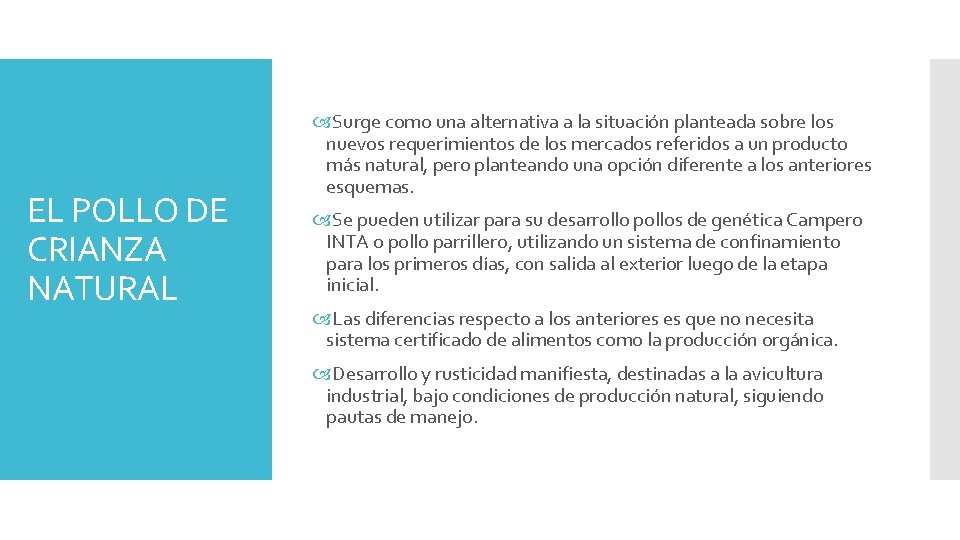 EL POLLO DE CRIANZA NATURAL Surge como una alternativa a la situación planteada sobre