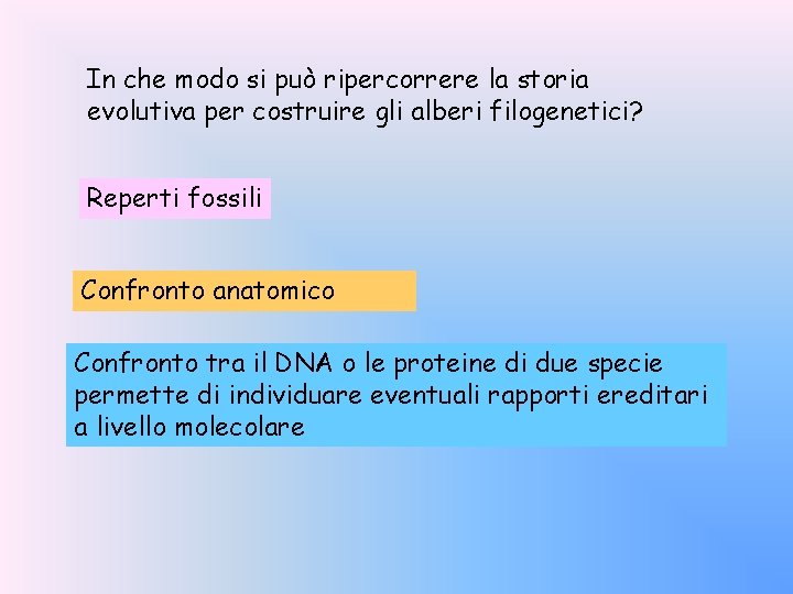 In che modo si può ripercorrere la storia evolutiva per costruire gli alberi filogenetici?