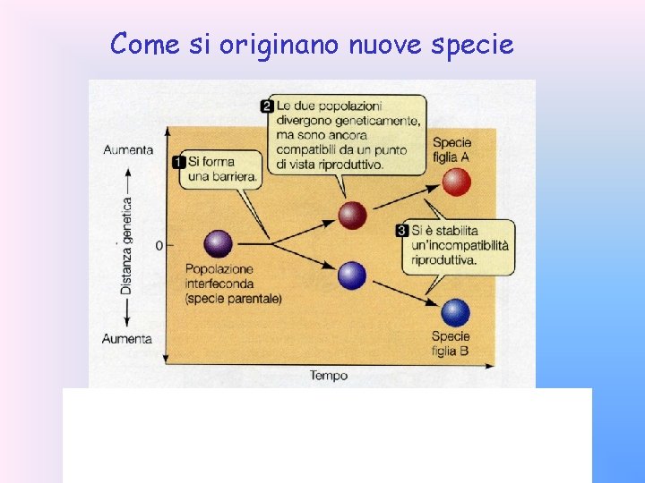 Come si originano nuove specie 