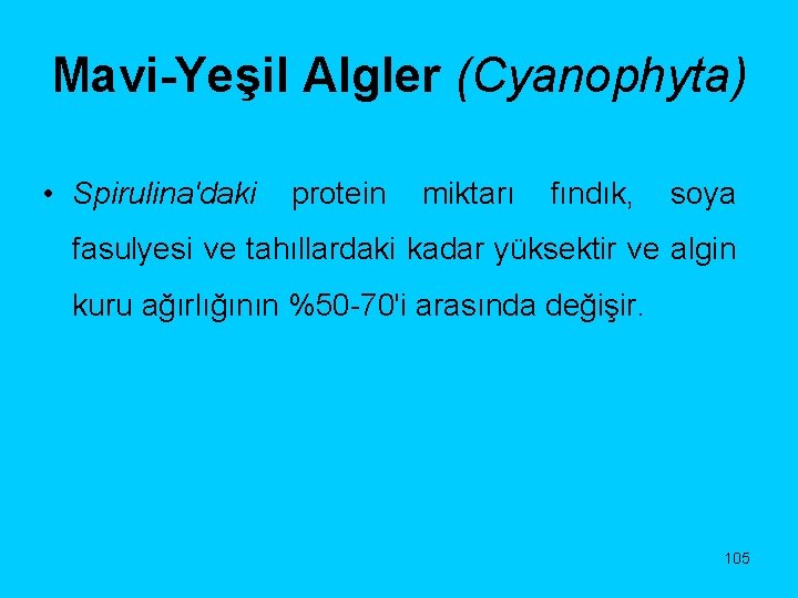 Mavi-Yeşil Algler (Cyanophyta) • Spirulina'daki protein miktarı fındık, soya fasulyesi ve tahıllardaki kadar yüksektir