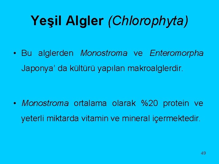 Yeşil Algler (Chlorophyta) • Bu alglerden Monostroma ve Enteromorpha Japonya’ da kültürü yapılan makroalglerdir.