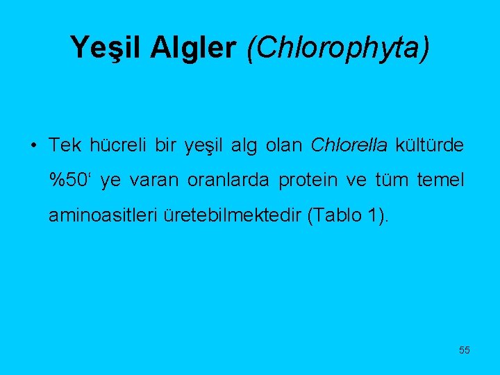 Yeşil Algler (Chlorophyta) • Tek hücreli bir yeşil alg olan Chlorella kültürde %50‘ ye