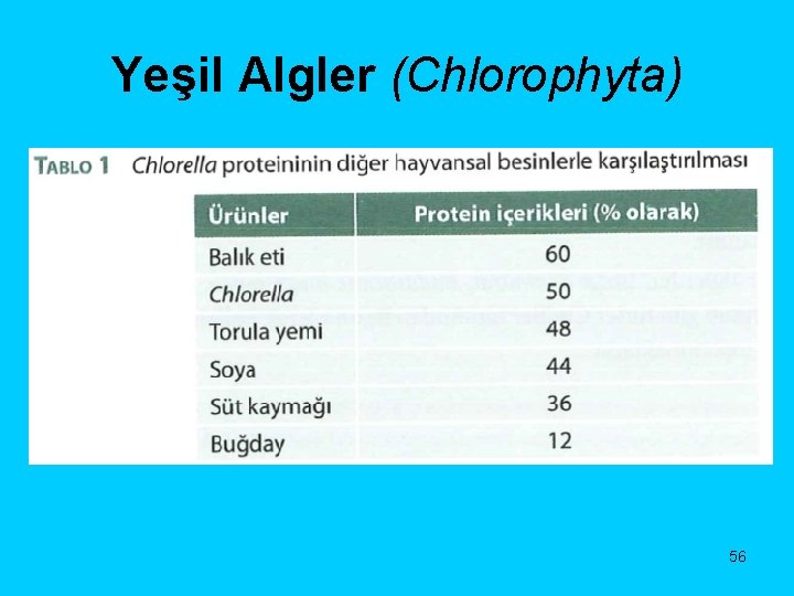 Yeşil Algler (Chlorophyta) 56 