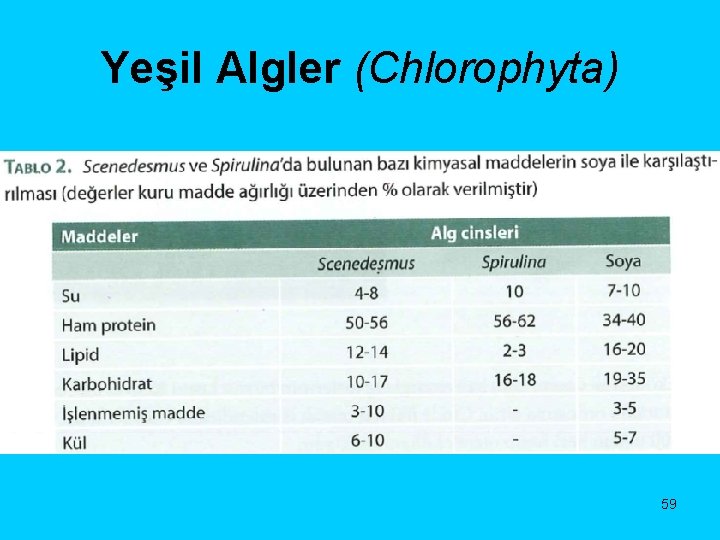 Yeşil Algler (Chlorophyta) 59 