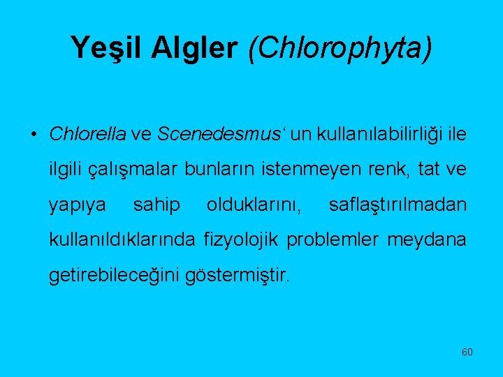 Yeşil Algler (Chlorophyta) • Chlorella ve Scenedesmus‘ un kullanılabilirliği ile ilgili çalışmalar bunların istenmeyen