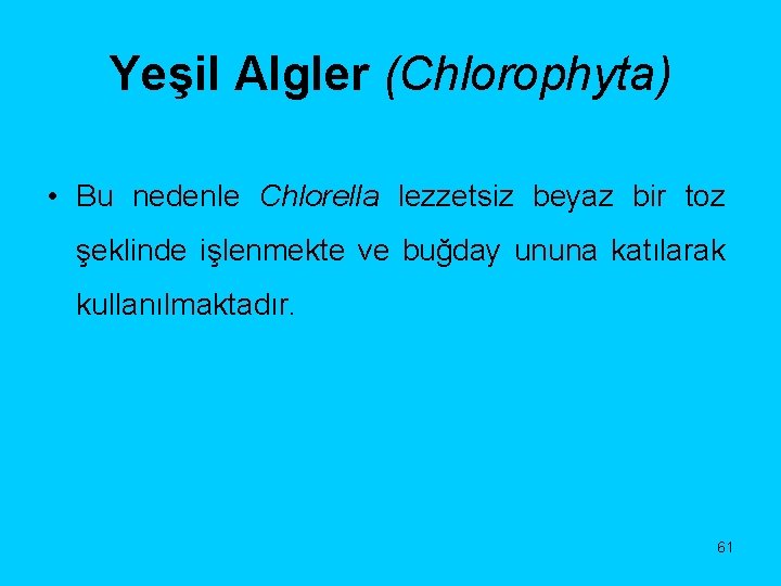 Yeşil Algler (Chlorophyta) • Bu nedenle Chlorella lezzetsiz beyaz bir toz şeklinde işlenmekte ve