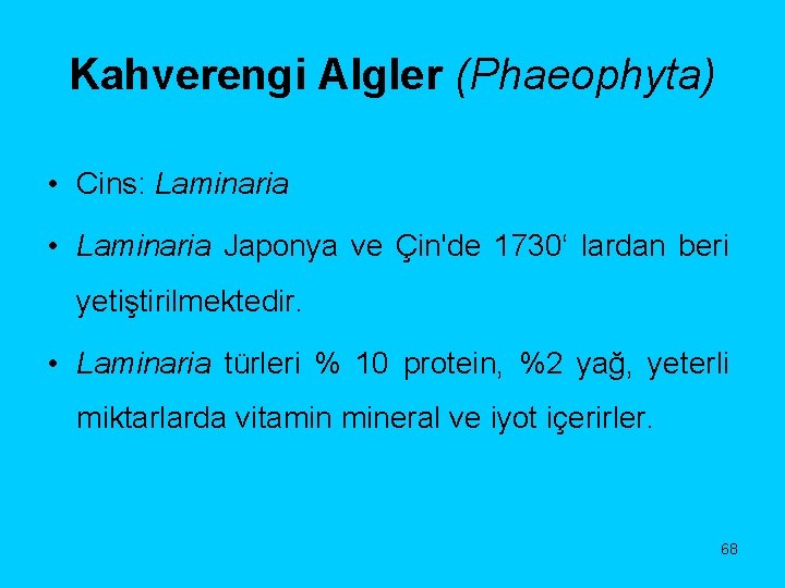 Kahverengi Algler (Phaeophyta) • Cins: Laminaria • Laminaria Japonya ve Çin'de 1730‘ lardan beri