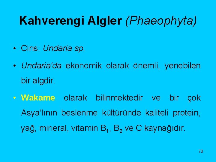 Kahverengi Algler (Phaeophyta) • Cins: Undaria sp. • Undaria'da ekonomik olarak önemli, yenebilen bir