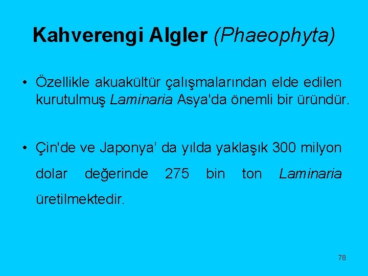 Kahverengi Algler (Phaeophyta) • Özellikle akuakültür çalışmalarından elde edilen kurutulmuş Laminaria Asya'da önemli bir