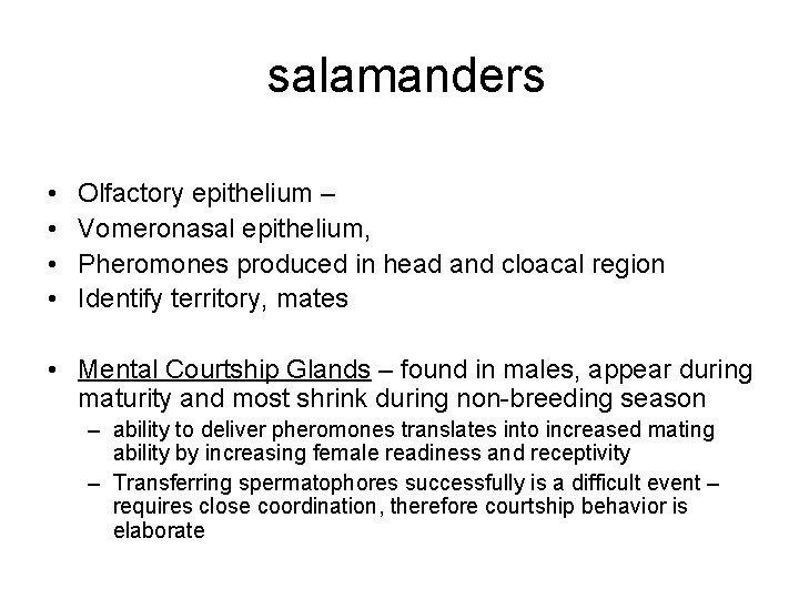 salamanders • • Olfactory epithelium – Vomeronasal epithelium, Pheromones produced in head and cloacal