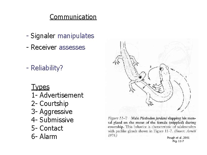 Communication - Signaler manipulates - Receiver assesses - Reliability? Types 1 - Advertisement 2