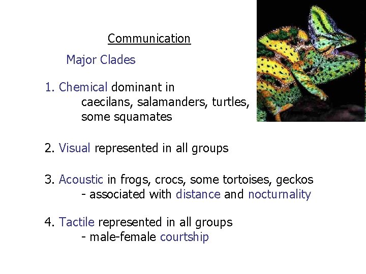 Communication Major Clades 1. Chemical dominant in caecilans, salamanders, turtles, some squamates 2. Visual