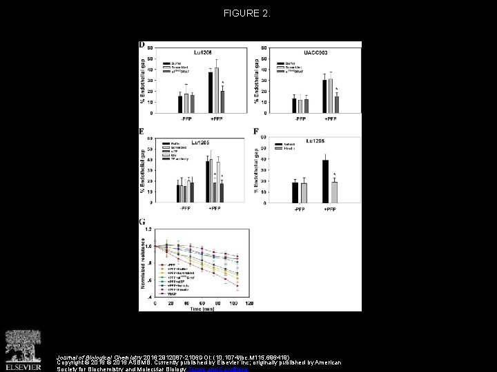 FIGURE 2. Journal of Biological Chemistry 2016 2912087 -2106 DOI: (10. 1074/jbc. M 115.