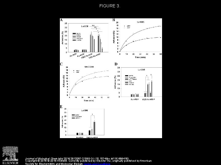 FIGURE 3. Journal of Biological Chemistry 2016 2912087 -2106 DOI: (10. 1074/jbc. M 115.