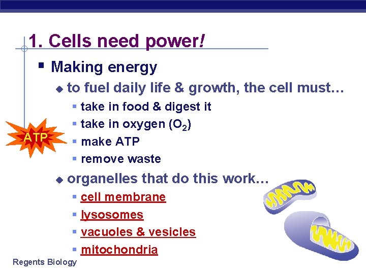 1. Cells need power! § Making energy u to fuel daily life & growth,