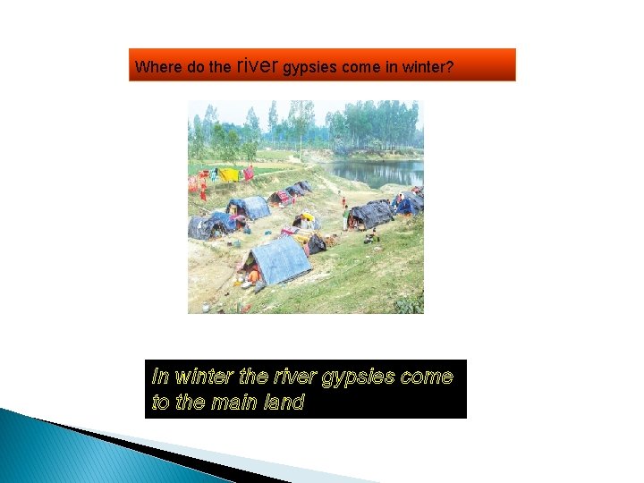 Where do the river gypsies come in winter? In winter the river gypsies come