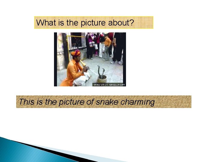 What is the picture about? This is the picture of snake charming 