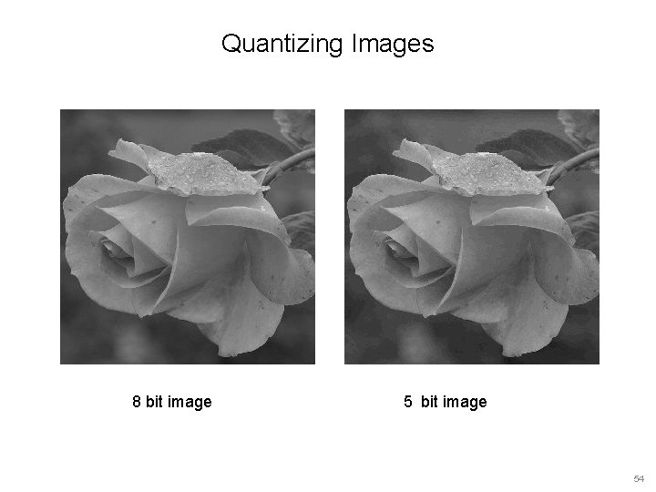 Quantizing Images 8 bit image 54 Quantizing Images 8 bit image 54