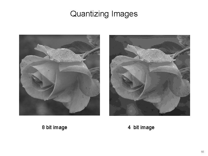 Quantizing Images 8 bit image 4 bit image 55 