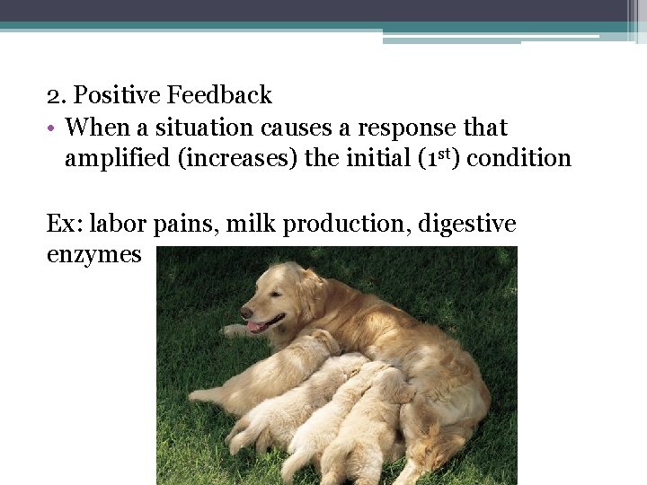 2. Positive Feedback • When a situation causes a response that amplified (increases) the