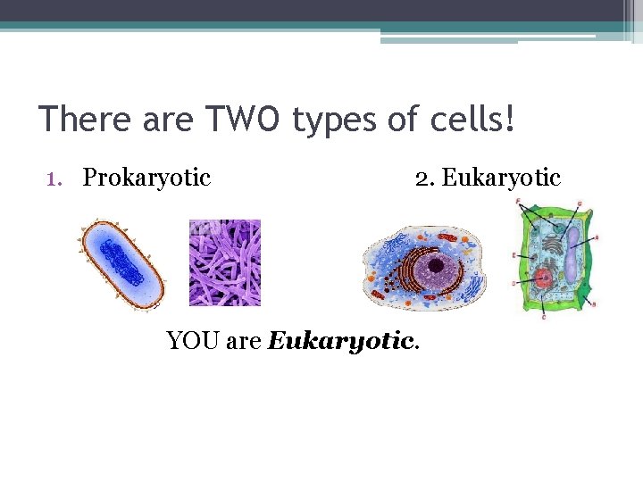 There are TWO types of cells! 1. Prokaryotic 2. Eukaryotic YOU are Eukaryotic. 