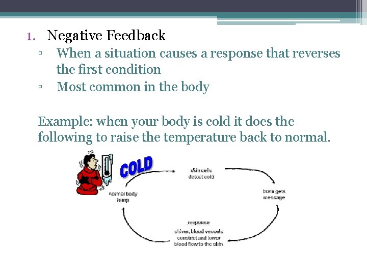 1. Negative Feedback ▫ ▫ When a situation causes a response that reverses the
