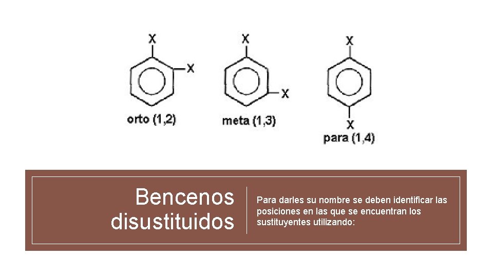 Bencenos disustituidos Para darles su nombre se deben identificar las posiciones en las que