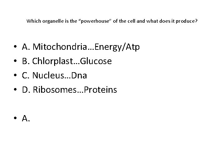 Which organelle is the “powerhouse” of the cell and what does it produce? •