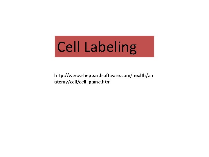 Cell Labeling http: //www. sheppardsoftware. com/health/an atomy/cell_game. htm 