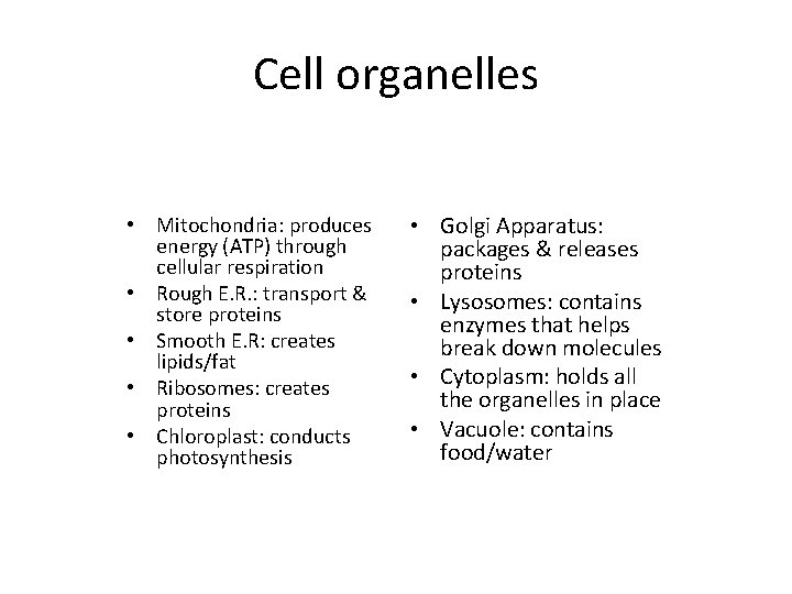 Cell organelles • Mitochondria: produces energy (ATP) through cellular respiration • Rough E. R.