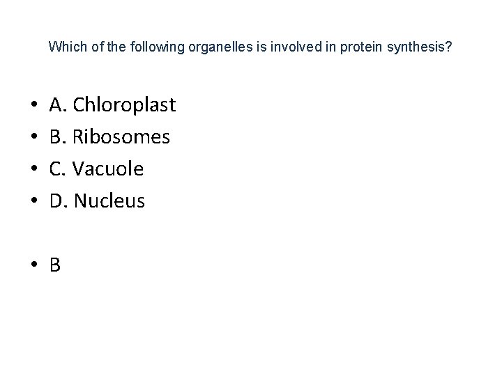 Which of the following organelles is involved in protein synthesis? • • A. Chloroplast