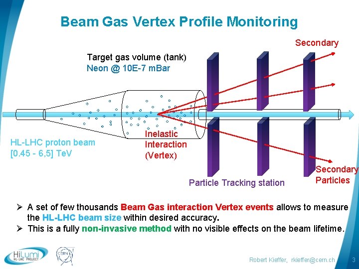 Beam Gas Vertex Profile Monitoring Secondary Target gas volume (tank) Neon @ 10 E-7