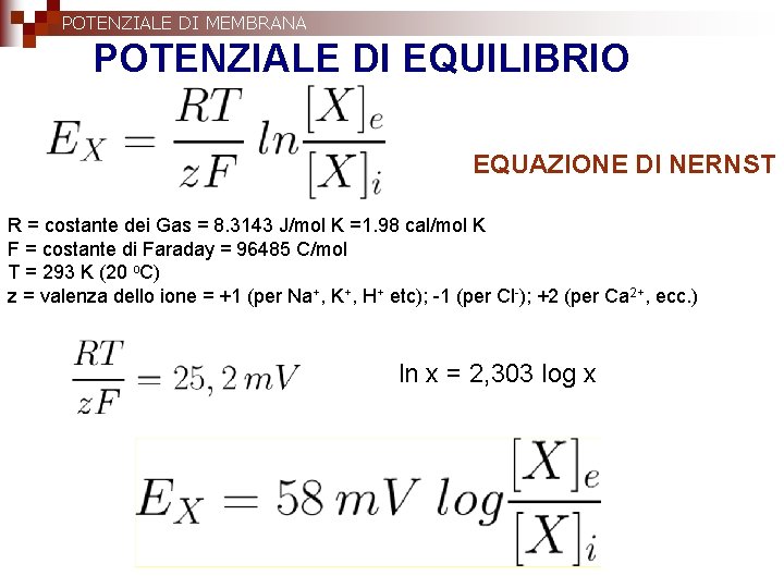 POTENZIALE DI MEMBRANA POTENZIALE DI EQUILIBRIO EQUAZIONE DI NERNST R = costante dei Gas