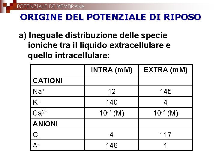 POTENZIALE DI MEMBRANA ORIGINE DEL POTENZIALE DI RIPOSO a) Ineguale distribuzione delle specie ioniche