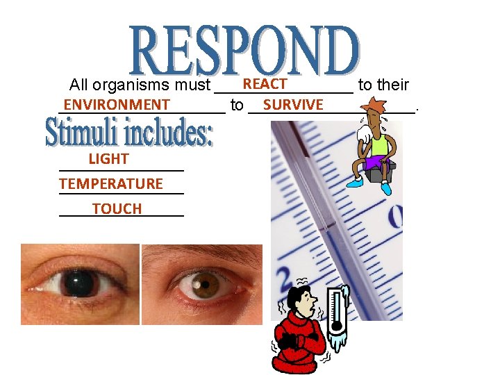 REACT All organisms must ________ to their ENVIRONMENT SURVIVE _________ to _________. LIGHT _________