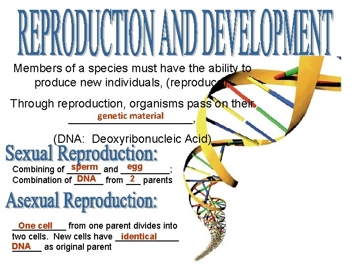 Members of a species must have the ability to produce new individuals, (reproduce). Through